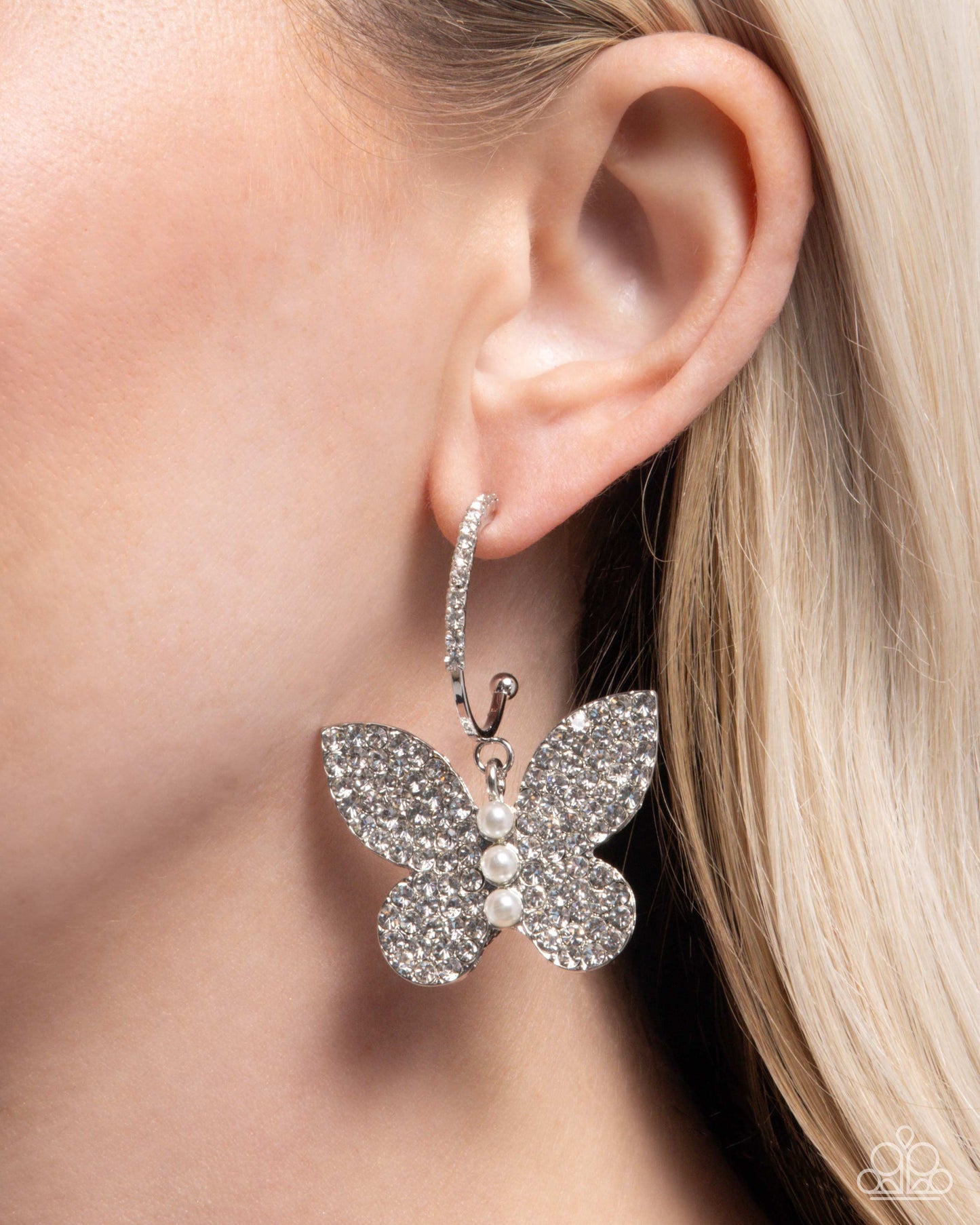 Butterfly Boundary