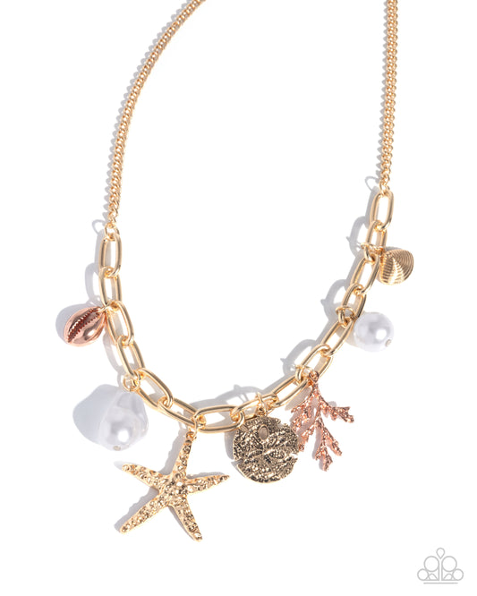 Coral Collection