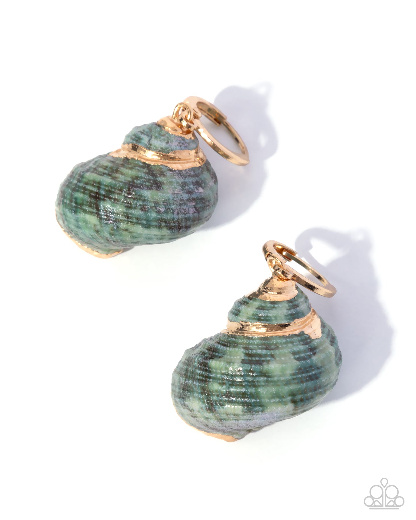 Seashell Spotlight